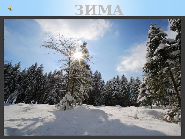 ЗИМА 