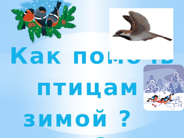 Как помочь птицам  зимой ? ? 