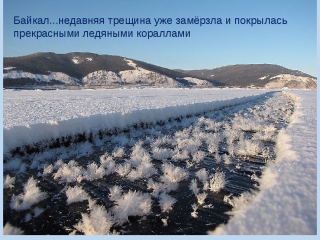 Байкал...недавняя трещина уже замёрзла и покрылась прекрасными ледяными кораллами 