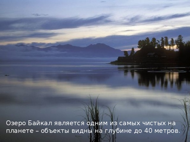 Озеро Байкал является одним из самых чистых на планете – объекты видны на глубине до 40 метров. 