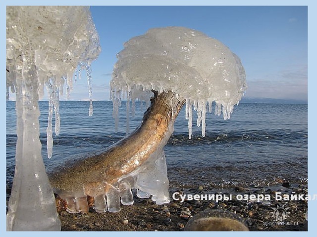 Сувениры озера Байкал 