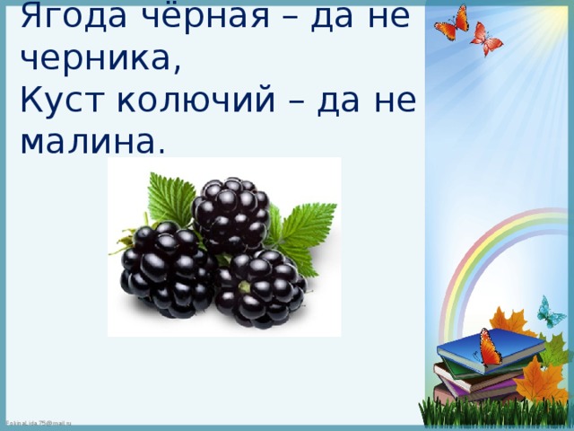 Загадки с прилагательными 3 класс с картинками