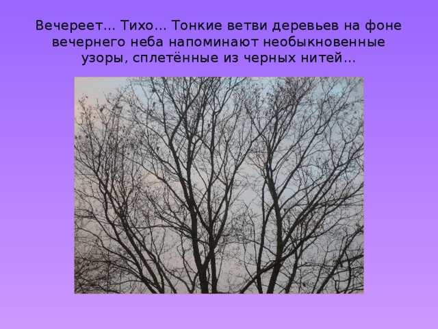 Вечереет… Тихо… Тонкие ветви деревьев на фоне вечернего неба напоминают необыкновенные узоры, сплетённые из черных нитей… 