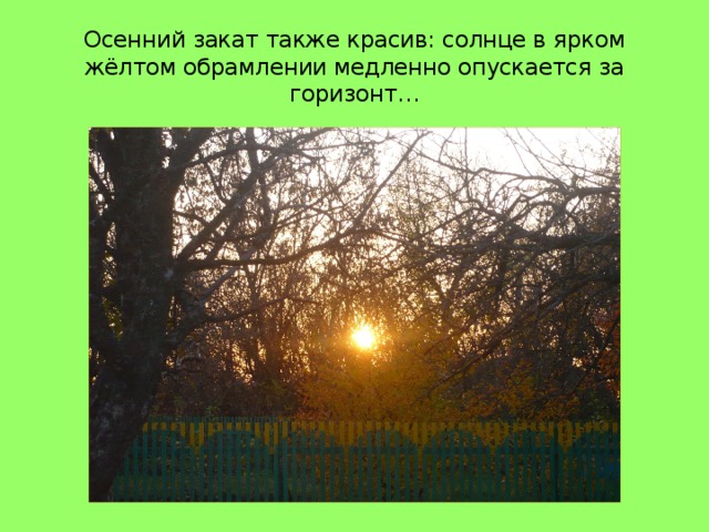 Осенний закат также красив: солнце в ярком жёлтом обрамлении медленно опускается за горизонт… 