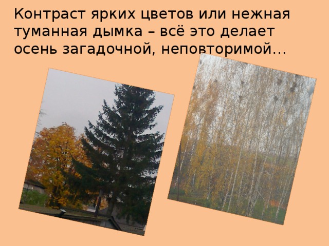 Контраст ярких цветов или нежная туманная дымка – всё это делает осень загадочной, неповторимой… 