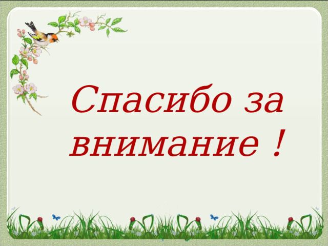Спасибо за внимание ! 