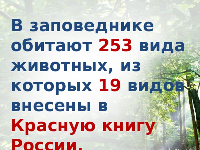 В заповеднике обитают 253 вида животных, из которых 19 видов внесены в Красную книгу России. 
