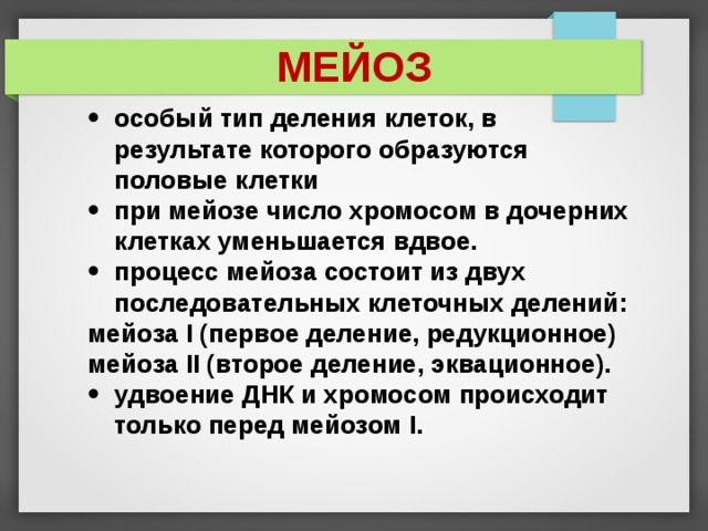 МЕЙОЗ особый тип деления клеток, в результате которого образуются половые клетки при мейозе число хромосом в дочерних клетках уменьшается вдвое. процесс мейоза состоит из двух последовательных клеточных делений: мейоза I (первое деление, редукционное) мейоза II (второе деление, эквационное). удвоение ДНК и хромосом происходит только перед мейозом I. 