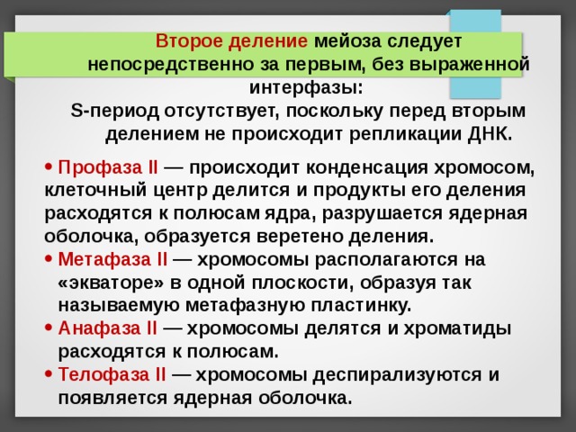  Второе деление мейоза следует непосредственно за первым, без выраженной интерфазы: S-период отсутствует, поскольку перед вторым делением не происходит репликации ДНК. Профаза II — происходит конденсация хромосом, клеточный центр делится и продукты его деления расходятся к полюсам ядра, разрушается ядерная оболочка, образуется веретено деления. Метафаза II — хромосомы располагаются на «экваторе» в одной плоскости, образуя так называемую метафазную пластинку. Анафаза II — хромосомы делятся и хроматиды расходятся к полюсам. Телофаза II — хромосомы деспирализуются и появляется ядерная оболочка. 