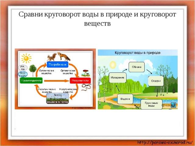 Круговорот веществ в природе 3