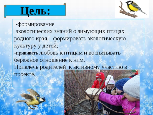  Цель:   - формирование   экологических знаний о зимующих птицах родного края,  формировать экологическую культуру у детей; -прививать любовь к птицам и воспитывать бережное отношение к ним. Привлечь родителей к активному участию в проекте. 