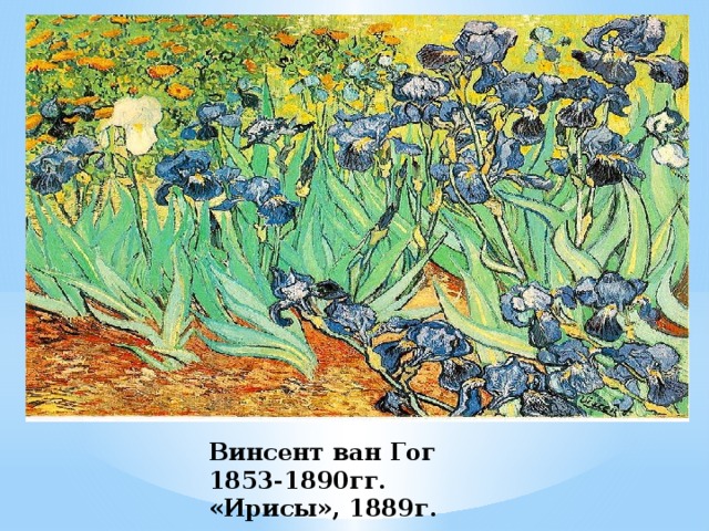 Винсент ван Гог  1853-1890гг.  «Ирисы», 1889г. 