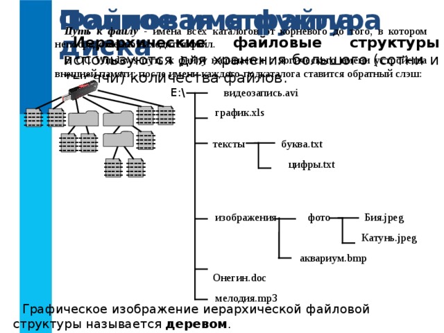 Файловая структура диска Полное имя файла Путь к файлу - имена всех каталогов от корневого до того, в котором непосредственно находится файл. В ОС Windows путь к файлу начинается с логического имени устройства внешней памяти; после имени каждого  подкаталога ставится обратный слэш: Иерархические файловые структуры используются для хранения большого (сотни и тысячи) количества файлов. E:\ видеозапись .avi  график .xls  тексты буква .txt  цифры .txt  изображения  фото  Бия .jpeg   Катунь .jpeg  аквариум .bmp   Онегин. doc   мелодия. mp3 ----- ----- ----- ----- ----- ----- ----- ----- ----- ----- ----- ----- ----- ----- ----- ----- ----- ----- ----- ----- ----- ----- ----- ----- ----- ----- ----- ----- ----- ----- ----- ----- ----- ----- ----- ----- Графическое изображение иерархической файловой структуры называется деревом .