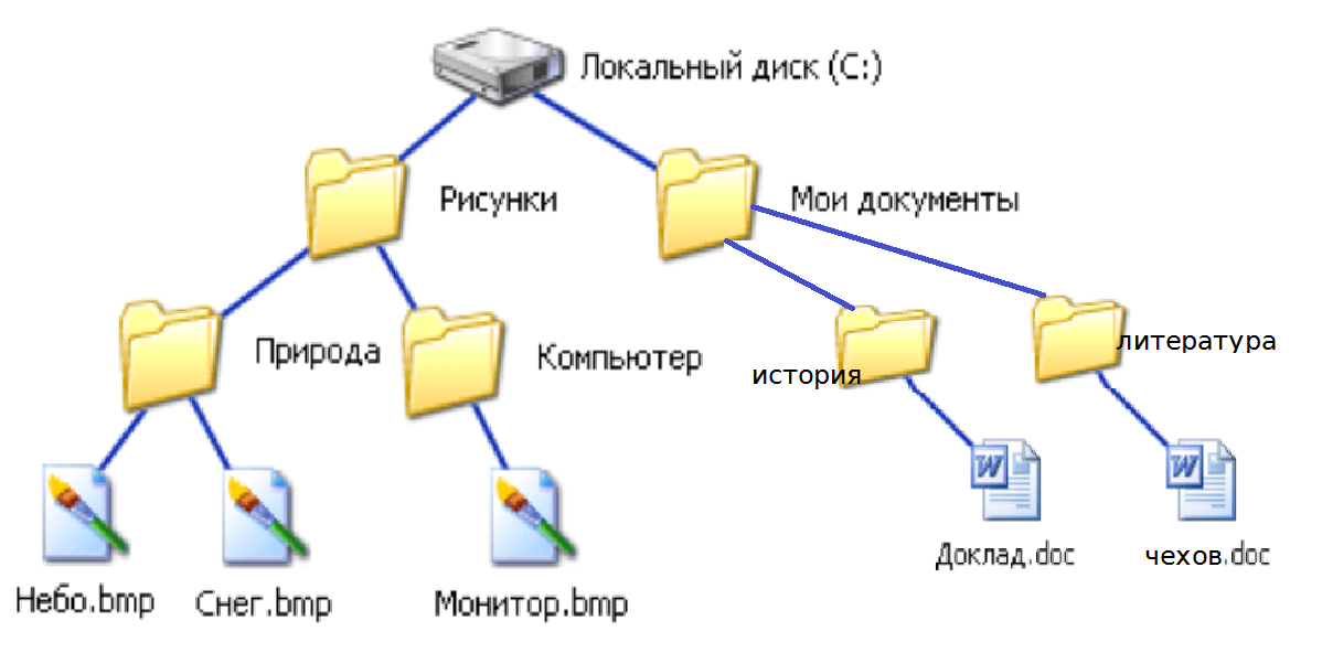 Файлы и каталоги информатика