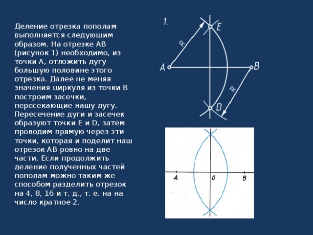 Отрезок пополам