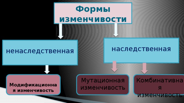 Причины наследственной изменчивости