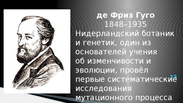 Гуго де фриз. Гуго де фриз генетик. Гуго де фриз вклад в биологию. Хуго де фриз вклад.