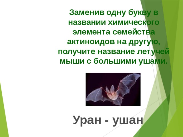 Заменив одну букву в названии химического элемента семейства актиноидов на другую, получите название летучей мыши с большими ушами. Уран - ушан 