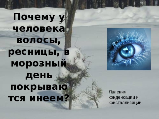 Почему у человека волосы, ресницы, в морозный день покрываются инеем? Явления конденсации и кристаллизации 