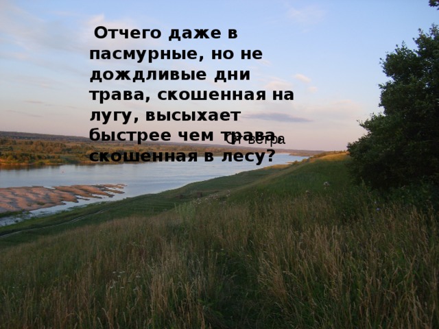  Отчего даже в пасмурные, но не дождливые дни трава, скошенная на лугу, высыхает быстрее чем трава, скошенная в лесу?  От ветра 