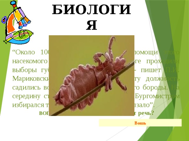 БИОЛОГИЯ   “ Около 100 лет тому назад при помощи этого насекомого у шведов в Гранденбурге проходили выборы губернатора (бургомистра), - пишет П.И. Мариковский. – Претенденты на эту должность садились вокруг стола и клали на него бороды. На середину стола помещали насекомое. Бургомистром избирался тот, на чью бороду оно заползало”.  ВОПРОС:   О каком насекомом идет речь? Вошь  