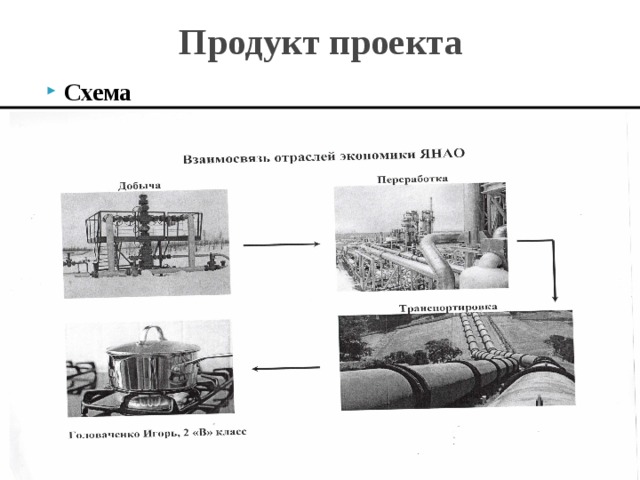 Экономика янао проект