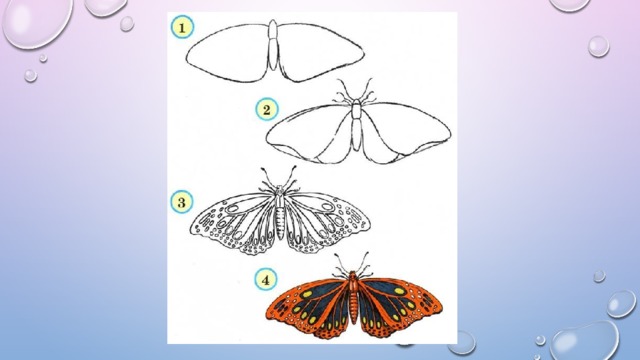Рисуем бабочку 1 класс поэтапное рисование презентация