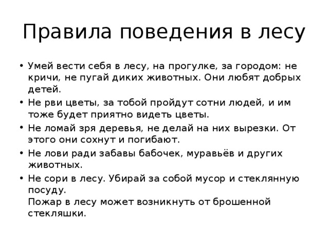 Правила поведения в лесу 4 класс проект