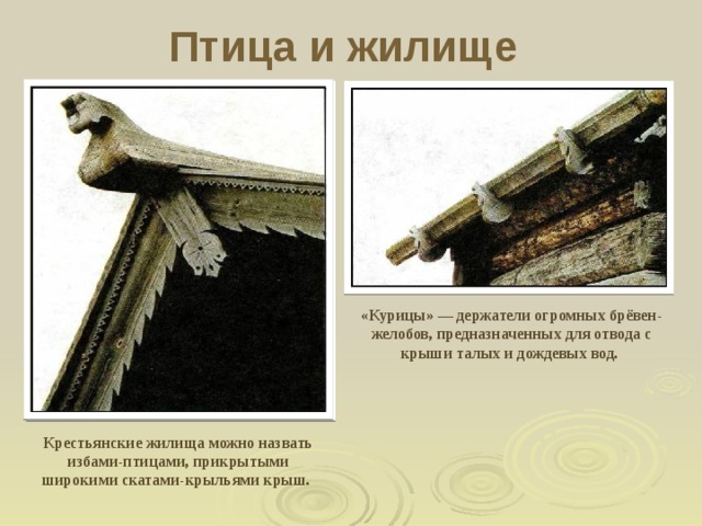 Птица и жилище «Курицы» — держатели огромных брёвен-желобов, предназначенных для отвода с крыши талых и дождевых вод. Крестьянские жилища можно назвать избами-птицами, прикрытыми широкими скатами-крыльями крыш.