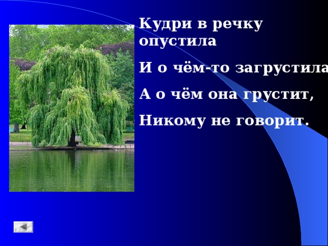 Кинешь в речку не тонет бьешь о стенку не