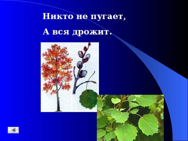 Никто не пугает а вся дрожит. Никто не пугает. Отгадка на загадку никто не пугает а вся дрожит. Никто не пугает а дрожит загадка.