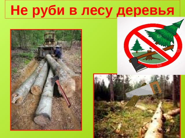 Нельзя рубить деревья. Не Руби деревья в лесу. Знак вырубка деревьев запрещена. Знак вырубки лесов.