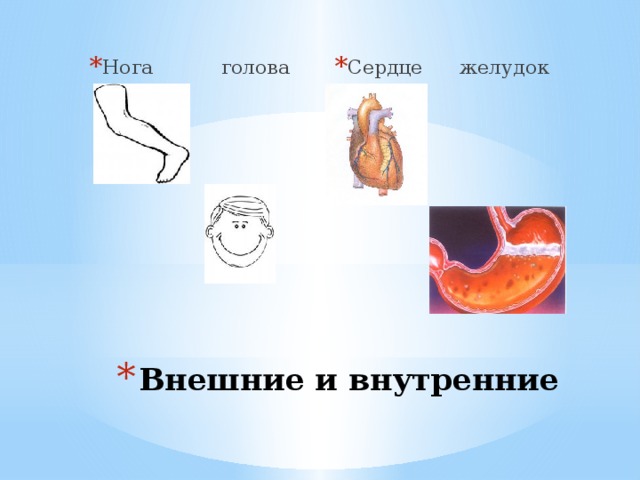 Нога голова Сердце желудок Внешние и внутренние 