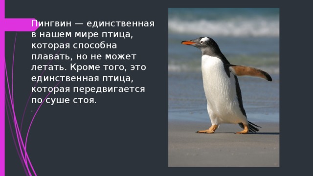 Пингвин — единственная в нашем мире птица, которая способна плавать, но не может летать. Кроме того, это единственная птица, которая передвигается по суше стоя.  . 