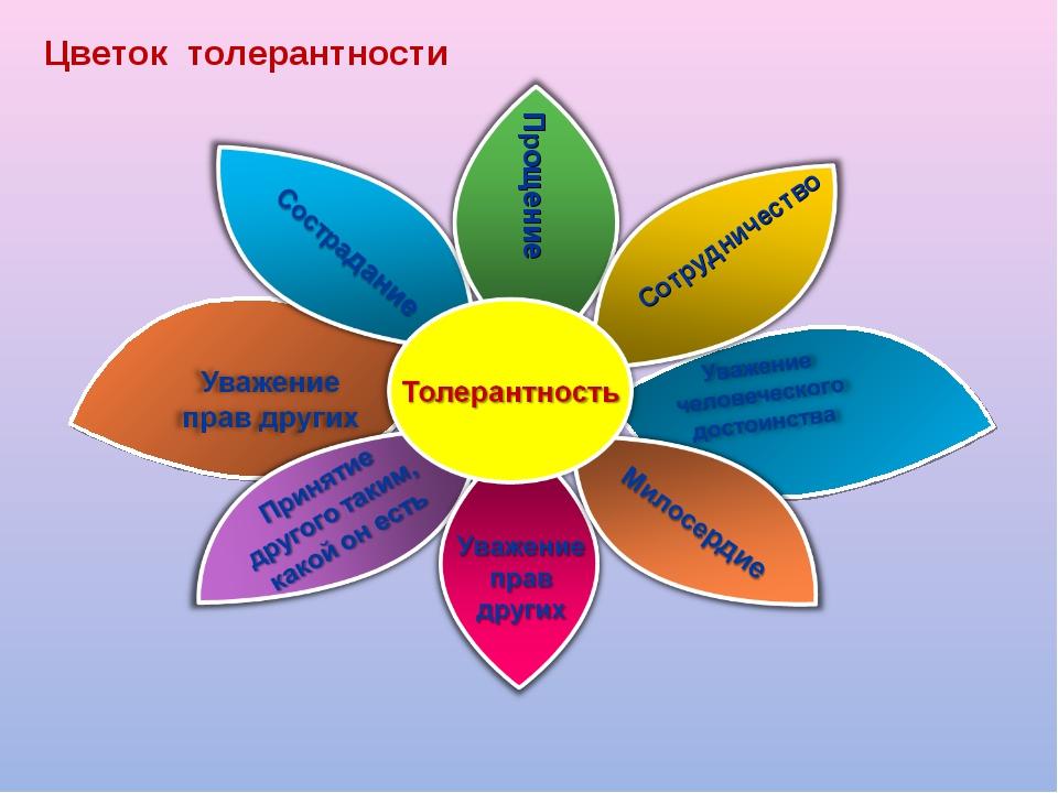 Толерантность в картинках