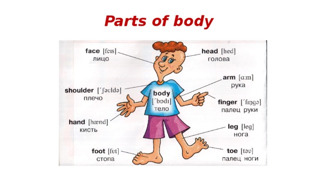 Презентация body talk
