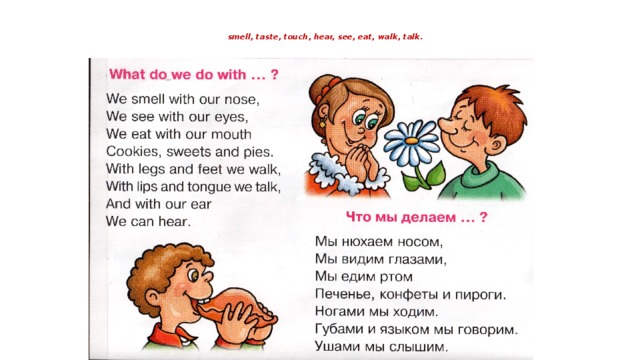 Taste talk. Стихотворение с can. See hear smell taste Touch. I can see with my Eyes стих. We smell with our nose стихотворение.