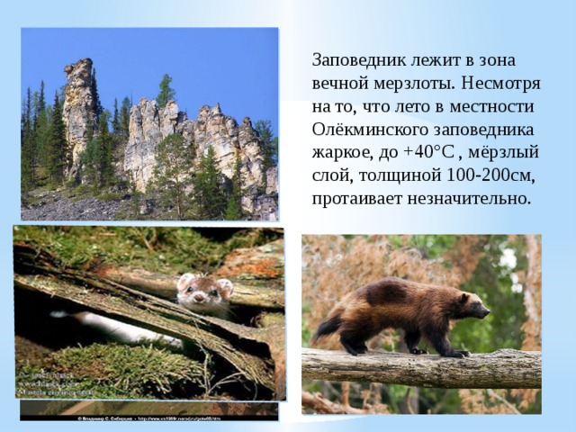 Презентация заповедники якутии