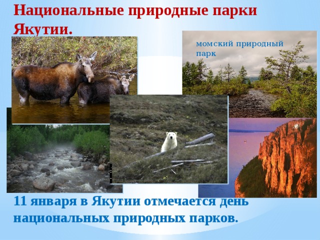 Национальные природные парки Якутии.          11 января в Якутии отмечается день национальных природных парков.    момский природный парк  . 
