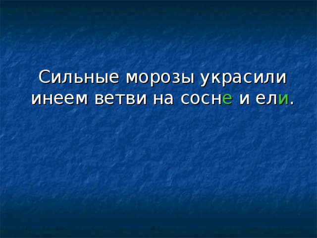 Сильные морозы украсили инеем ветви на сосн е и ел и . 