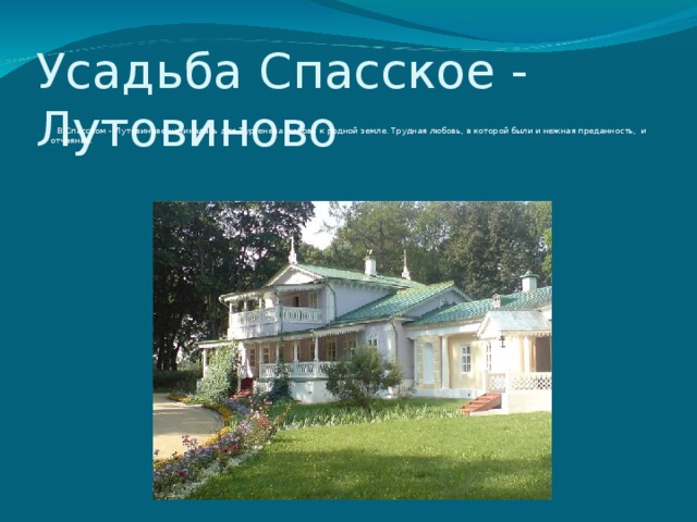 Спасское лутовиново кадастровая карта