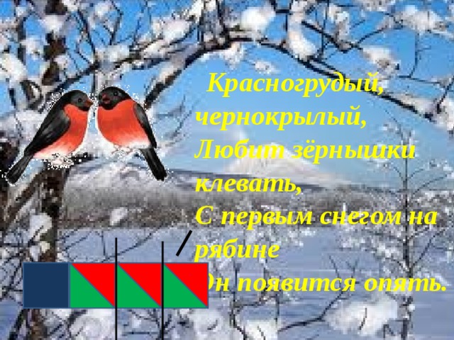  Красногрудый, чернокрылый,  Любит зёрнышки клевать,  С первым снегом на рябине  Он появится опять. 
