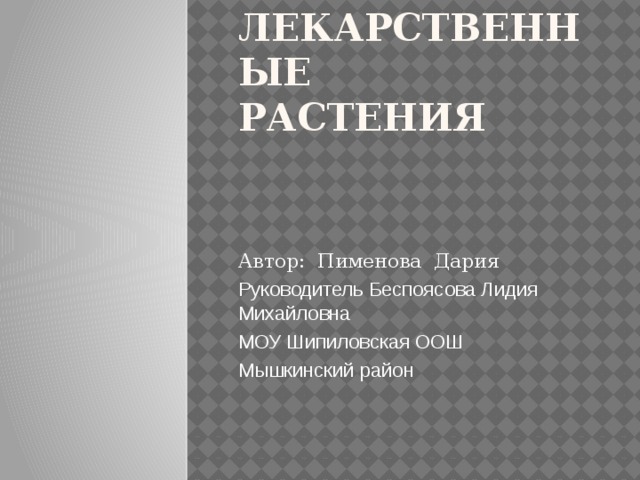 Лекарственные  растения   Автор: Пименова Дария Руководитель Беспоясова Лидия Михайловна МОУ Шипиловская ООШ Мышкинский район 