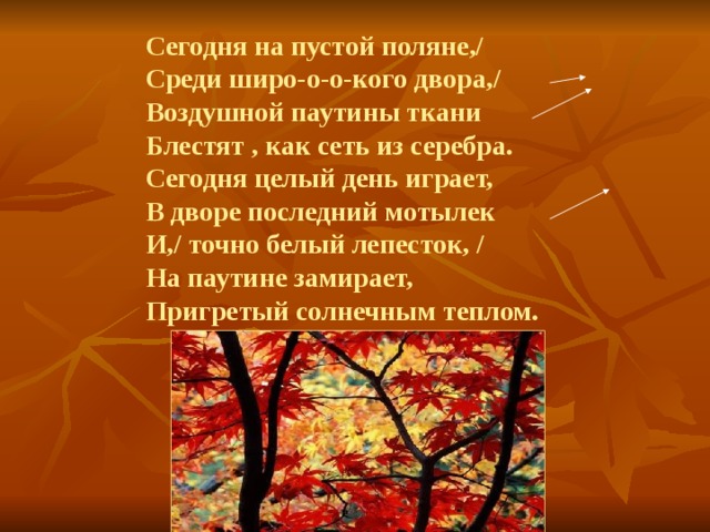 Бунин листопад сравнения. Сегодня на пустой Поляне. Сегодня на пустой Поляне стихотворение. Бунин сегодня целый день играет в траве последний мотылек стих. Стихотворение сегодня целый день играет в траве последний мотылёк.