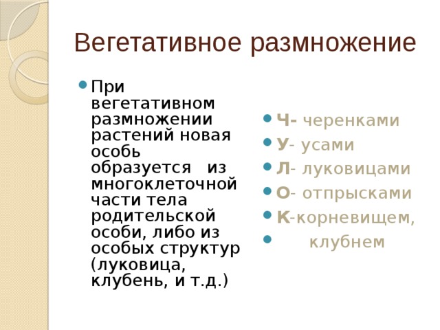 Вегетативное  размножение
