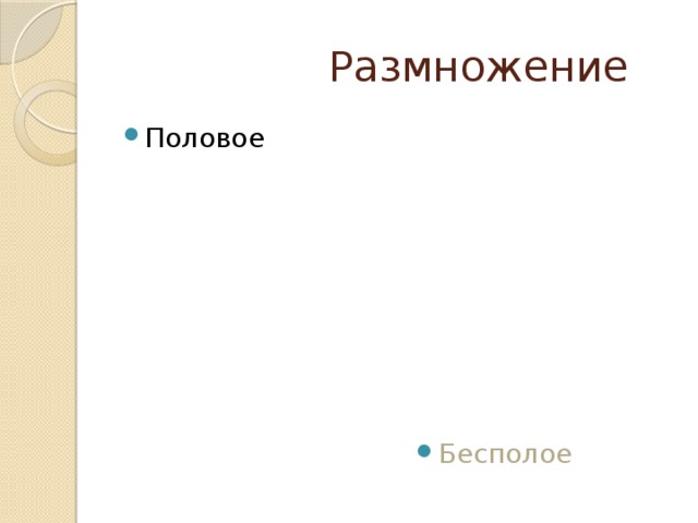 Размножение