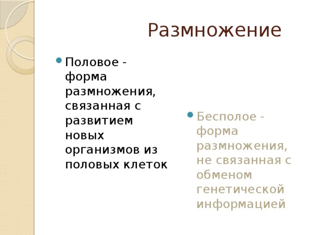 Размножение