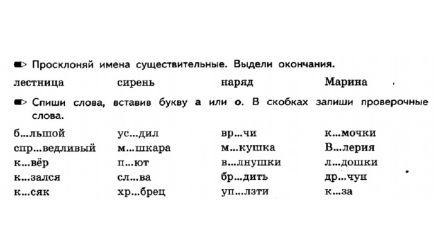 Выдели окончания существительных