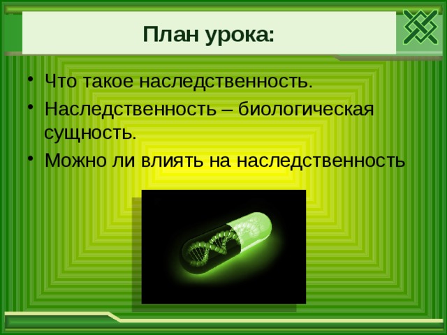  План урока:   Что такое наследственность. Наследственность – биологическая сущность. Можно ли влиять на наследственность 