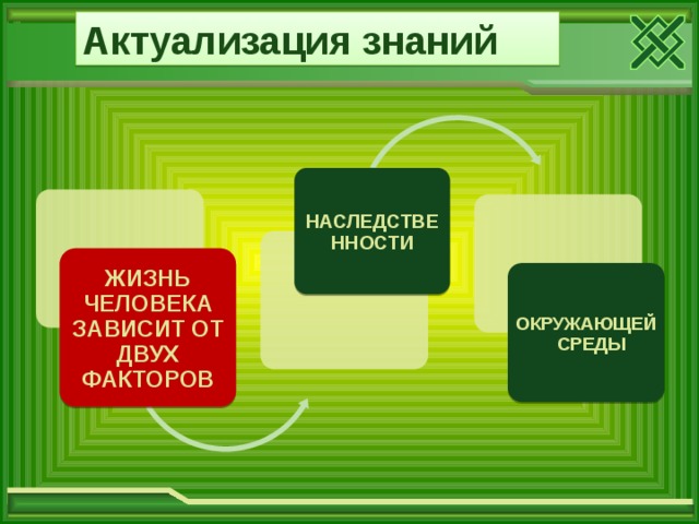 Актуализация знаний   НАСЛЕДСТВЕННОСТИ ЖИЗНЬ ЧЕЛОВЕКА ЗАВИСИТ ОТ ДВУХ ФАКТОРОВ ОКРУЖАЮЩЕЙ СРЕДЫ 